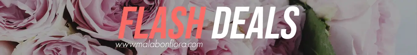 Flowers at lowest price only in limited time