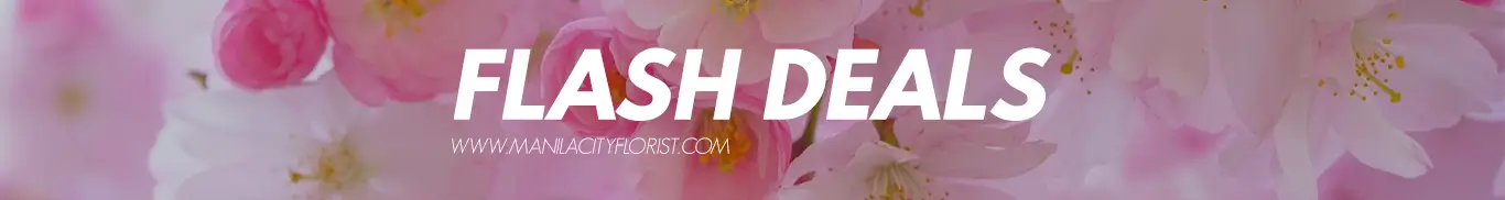Flowers at lowest price only in limited time
