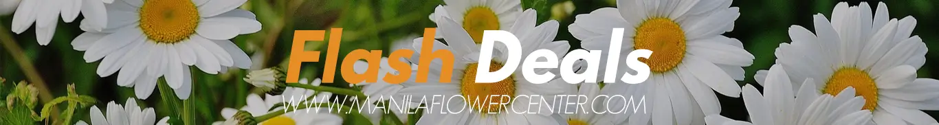 Flowers at lowest price only in limited time