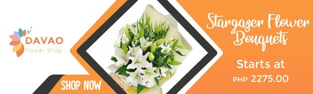 Stargazer Flowers at Affordable Prices