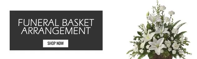 Banner Left Image