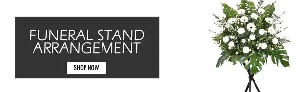 Banner Right Image