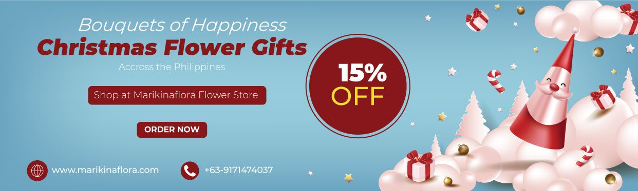 Get Christmas Flower Gifts