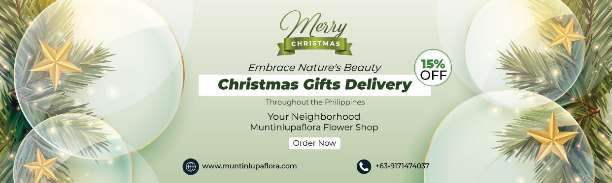 fast Chirstmas Gifts Delivery