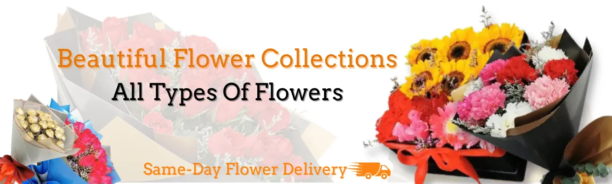 Salute Carnations Flower Bouquets
