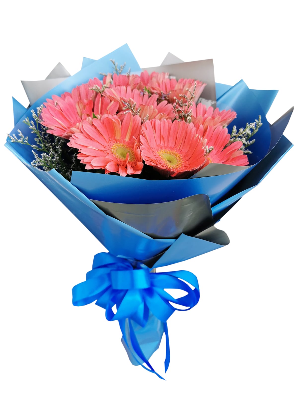 10 Fuchsia Pink Gerbera Korean Blue Silver