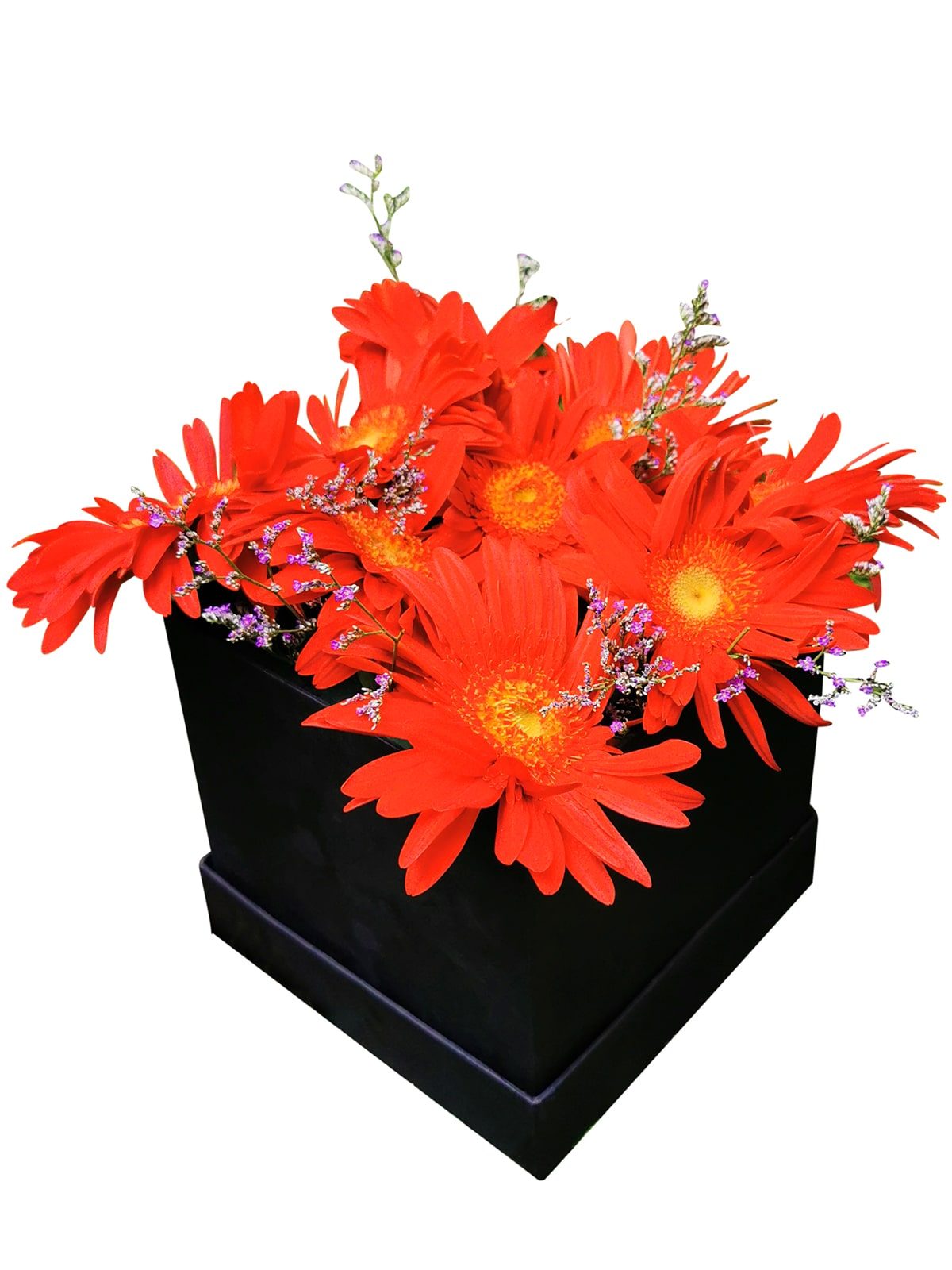 51 Red Gerbera Love Box