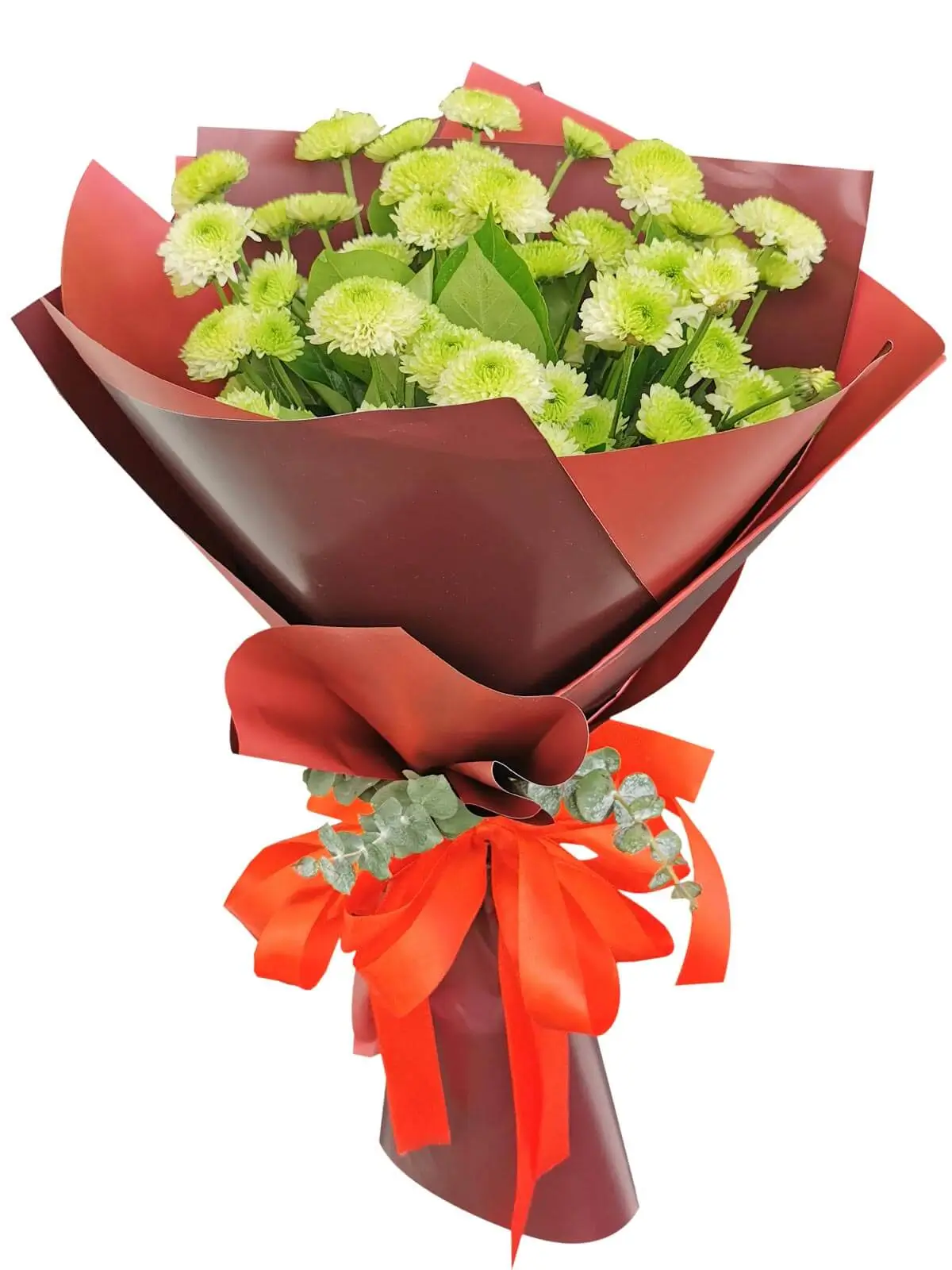 premium-mums-perfection
