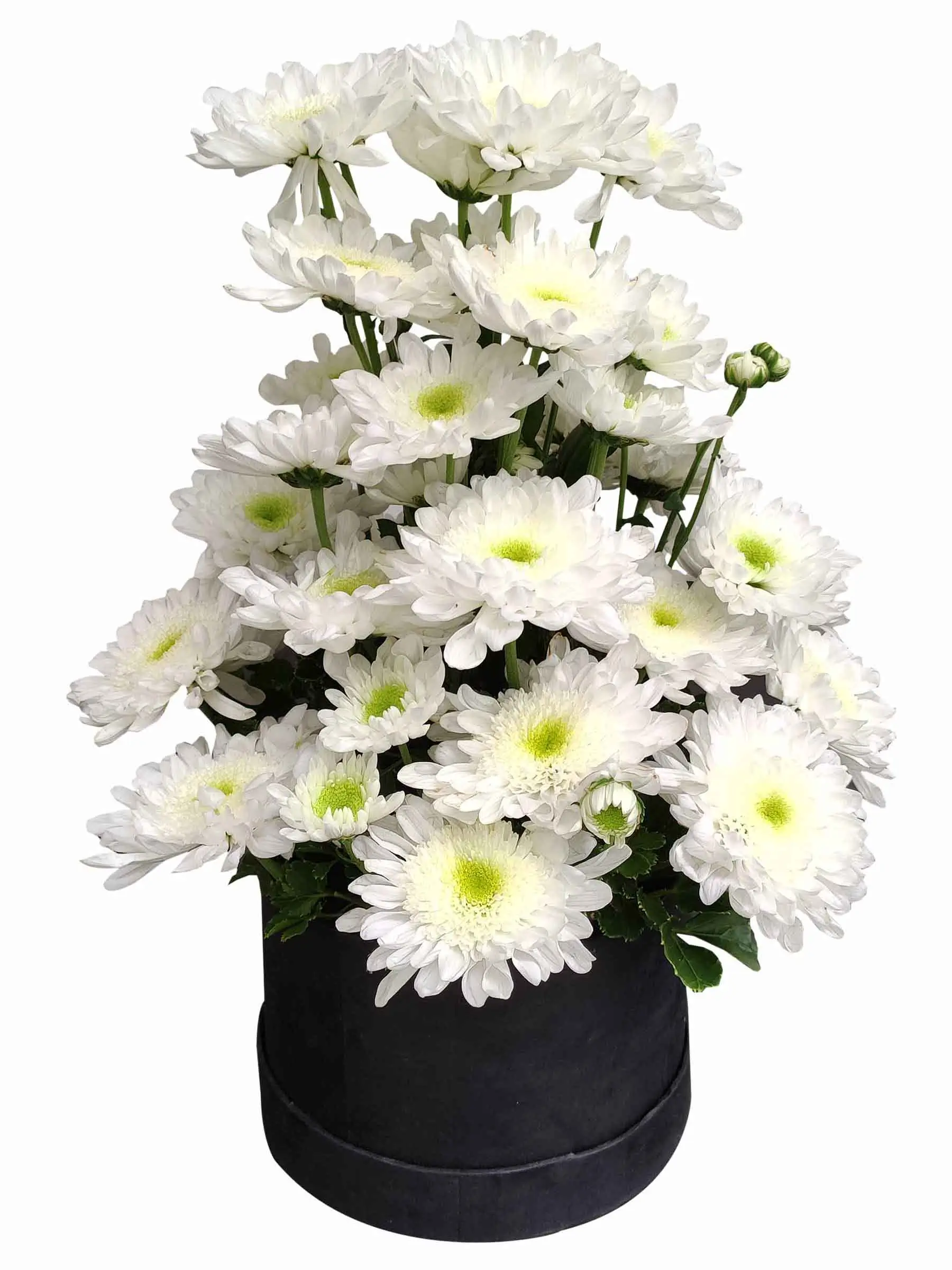 condolences-and-sympathy