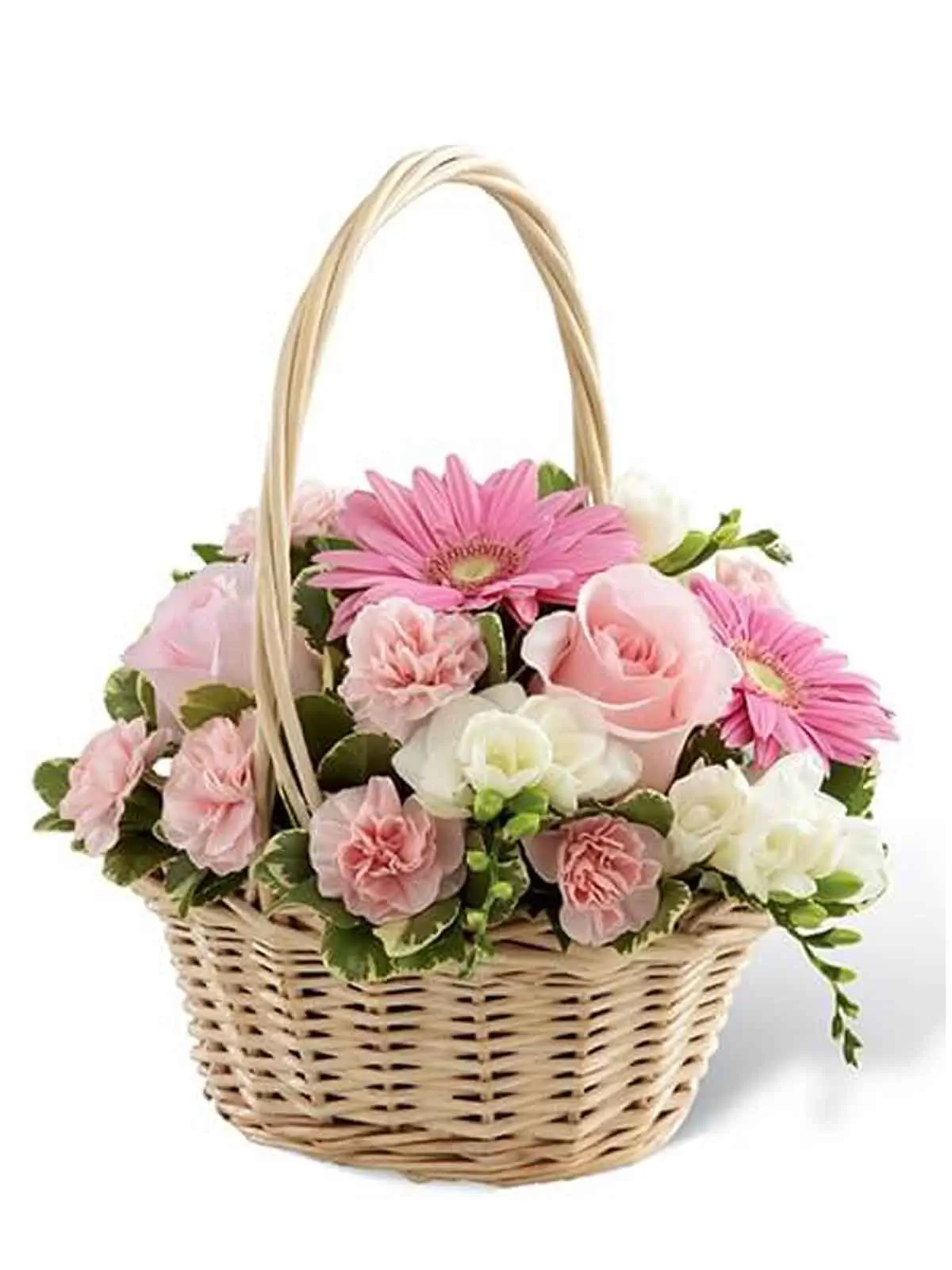 sympathy-&-purity-basket