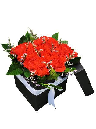 120 Red Carnation Love Box 001