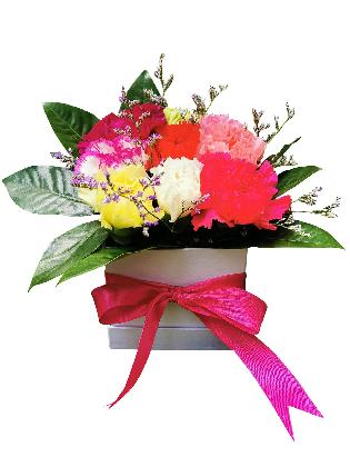 122 Mixed Carnations Love Box 001