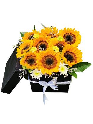 Sunflower Love Box 001