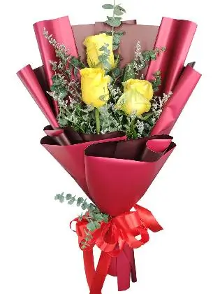 3 yellow ecua maroon