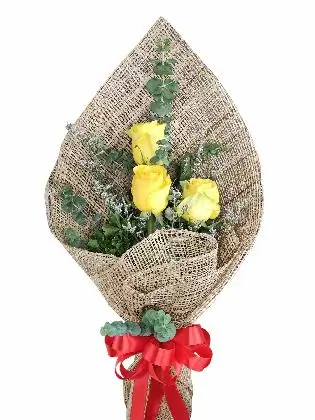3 yellow ecua burlap PH