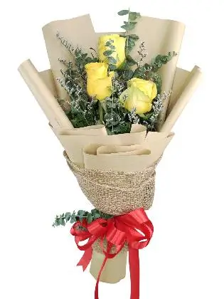 3 yellow ecua kraft/jute