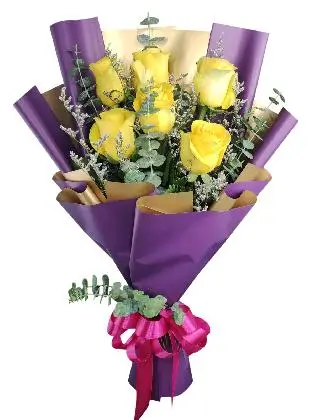 6 yellow ecua purple/gold