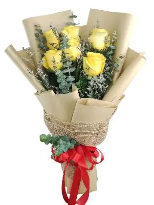 6 yellow ecua kraft/jute