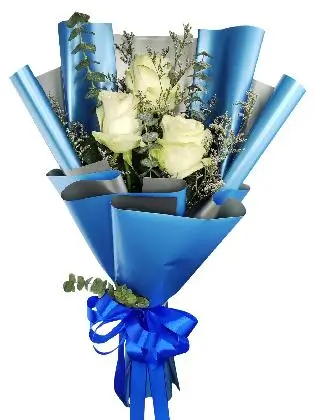 3 white ecua blue/silver