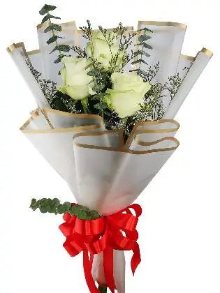 3 ecua white/ white