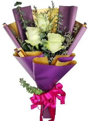 3 white ecua purple/gold
