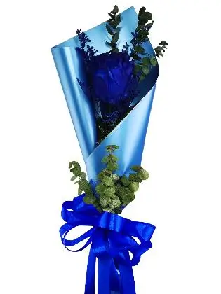 1 blue ecua blue/silver