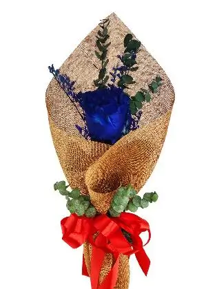 1 blue ecua burlap CH