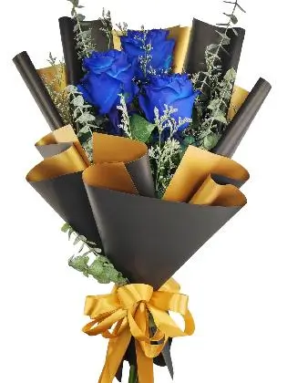 3 blue ecua black/gold