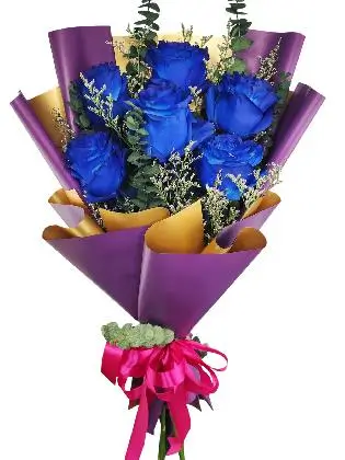 6 blue ecua purple/gold