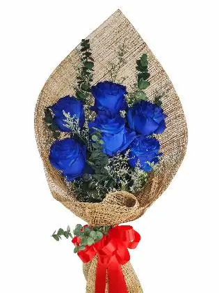 6 blue ecua burlap PH