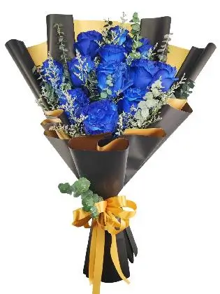 12 blue ecua black/gold