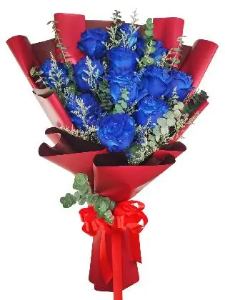 12 blue ecua maroon