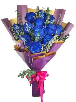 12 blue ecua purple/gold