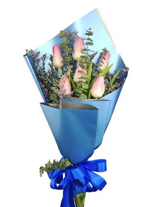 6 pink tulips blue/silver