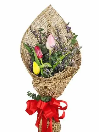 3 mix tulips burlap PH