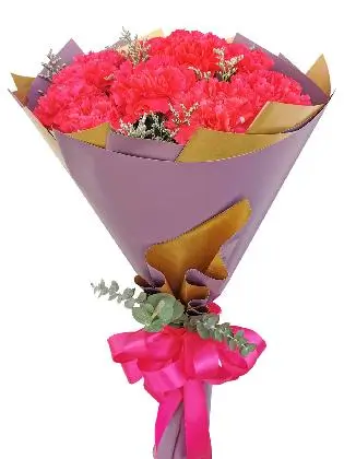 the-charming-admirer