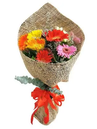 joyful-long-stem-gerbera