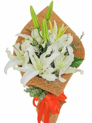fresh-petals