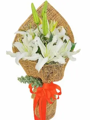fiercely-decorative-stargazers