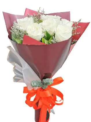 visually-stimulating-white-roses