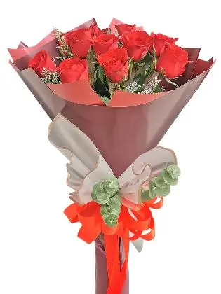 Anwen