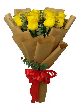 light-hearted-roses