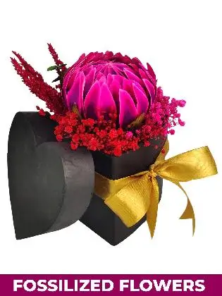 felicitas